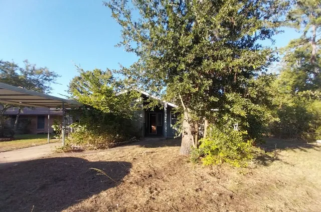 a view of a yard with a tree