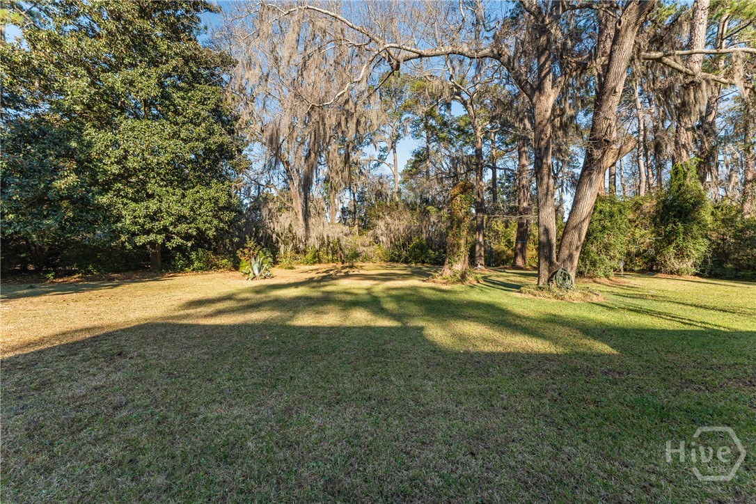 4 Edgewood Road Savannah, GA 31404 - Photo 28 of 54 Gallery Image 28