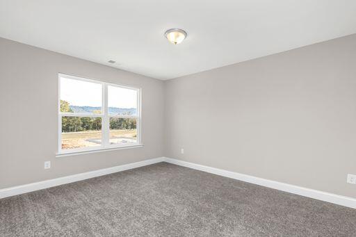 1480 Buttonwood Loop, Unit 1 Chattanooga, TN 37421 - Photo 20 of 26 gdL-nZjA - Copy