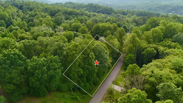 $9,900 | Lot 55 Cresthill Drive, Bassett, VA 24055