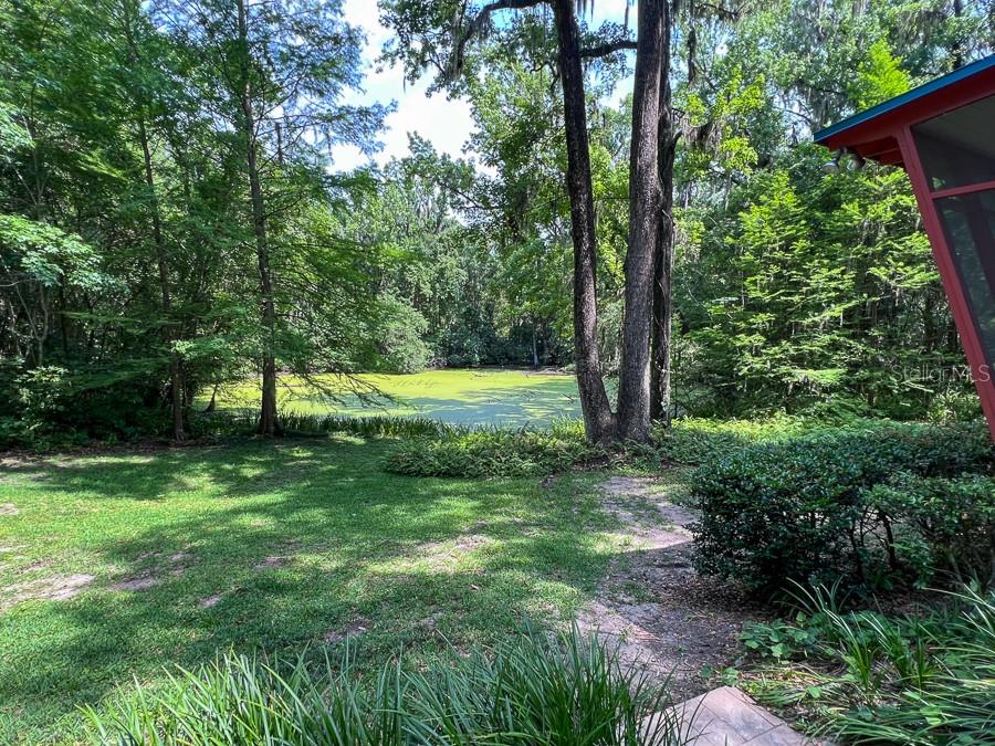 411 Northwest 26th Street Gainesville, FL 32607 - Photo 3 of 35