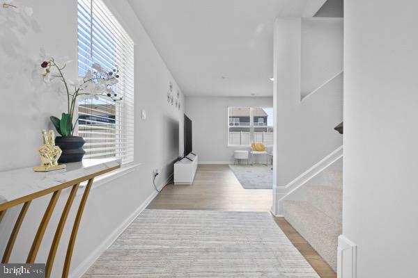 1638 Terrapin Circle Cambridge, MD 21613 - Photo 3 of 25 a hallway with windows