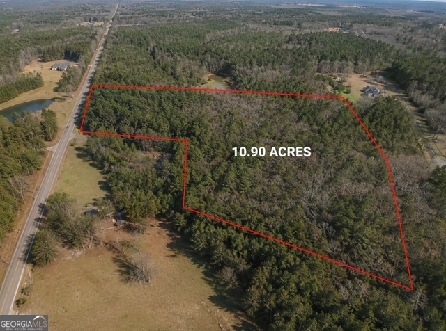 0 Lee Thompson Road Moreland, GA 30259 - Photo 2 of 2 Gallery Image 2