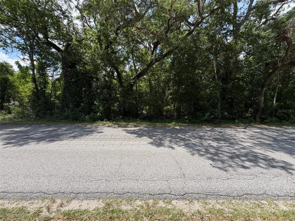 0 C R 656 Webster, FL 33597 - Photo 2 of 5