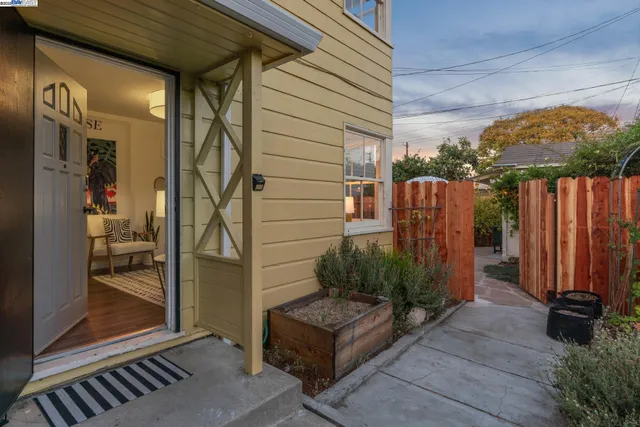 a view of potted plants in backyard of house