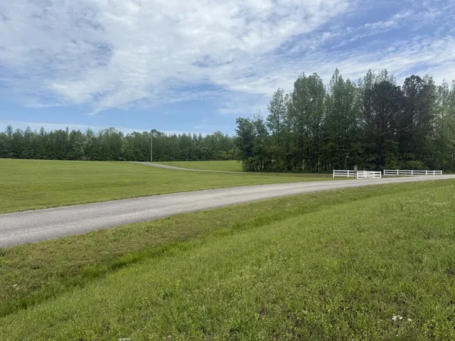 a view of field with tall trees