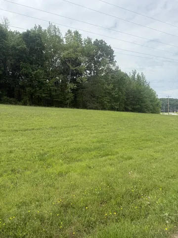 a view of an ocean from a yard