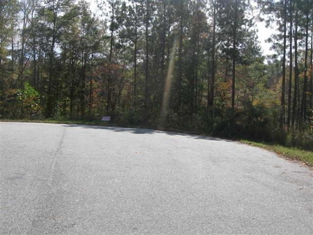 13687 Inman Road Hampton, GA 30228 - Photo 1 of 1 Gallery Image 1