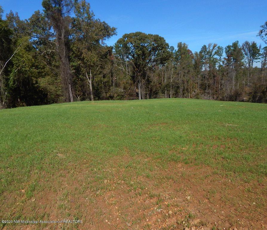 6425 Pea Ridge Road Grenada, MS 38901 - Photo 1 of 10