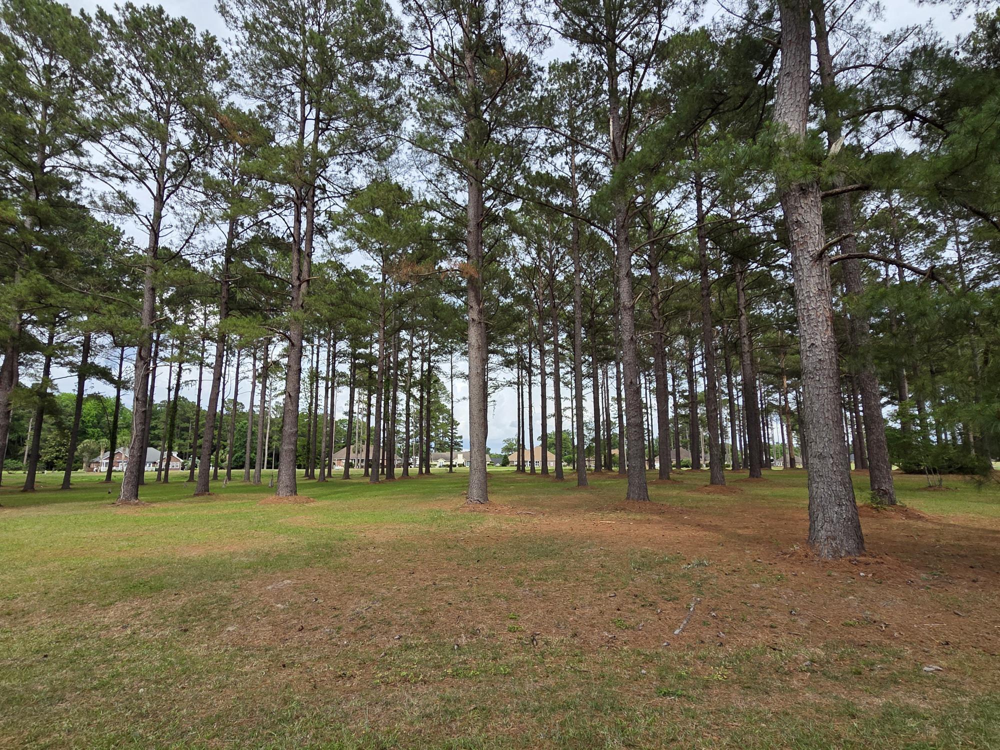 402 Pinelake Court Manning, SC 29102 - Photo 2 of 25