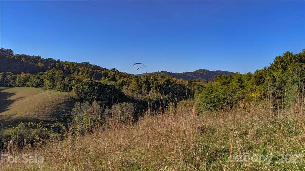 17.67 Roberts Branch Road Marshall, NC 28753 - Photo 17 of 43 a view of mountain with lake in background