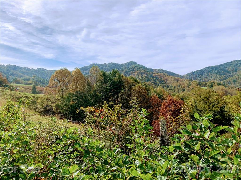 17.67 Roberts Branch Road Marshall, NC 28753 - Photo 32 of 43 a view of a lake with a mountain