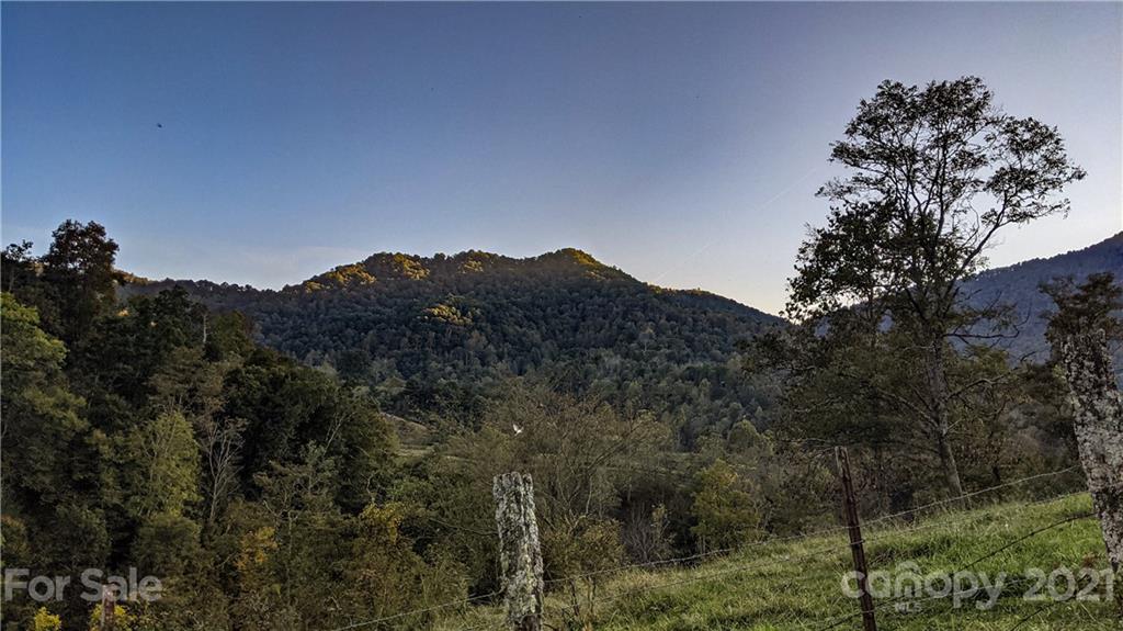 17.67 Roberts Branch Road Marshall, NC 28753 - Photo 8 of 43 a view of mountains and valleys