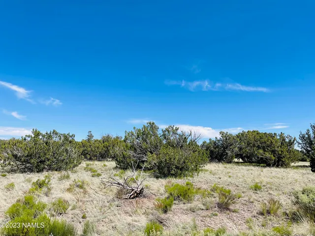 a view of a field with trees in the background
