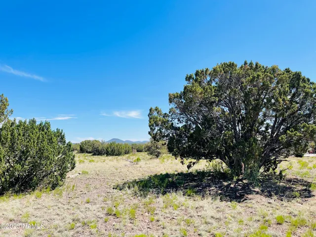 a view of a road with a snow in the background