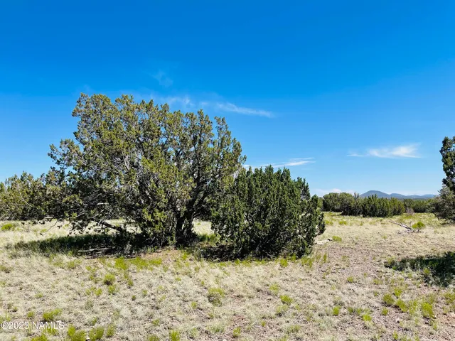 a view of a pathway with a lake
