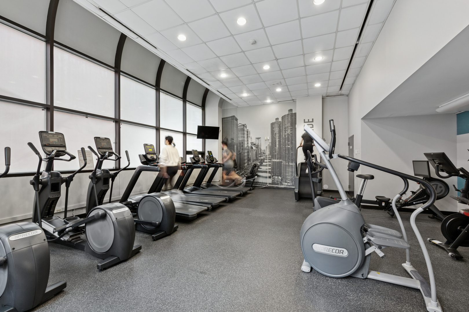 211 East Ohio Street, Unit 917 Chicago, IL 60611 - Photo 16 of 29