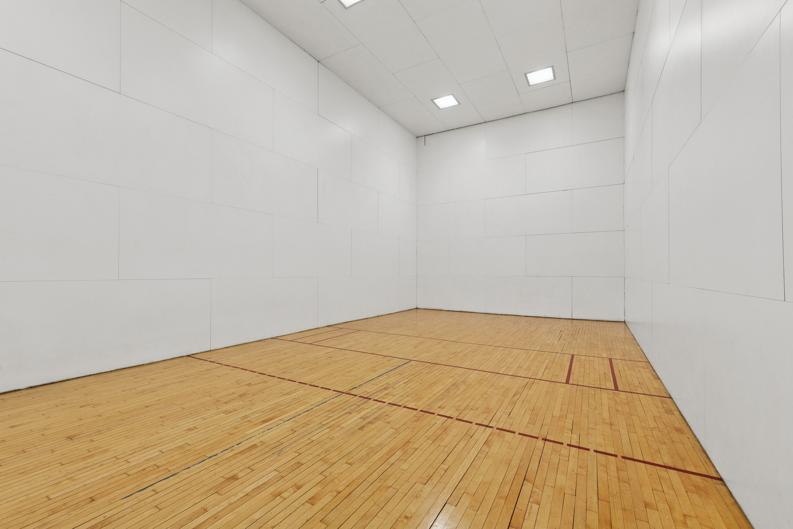 211 East Ohio Street, Unit 917 Chicago, IL 60611 - Photo 21 of 29