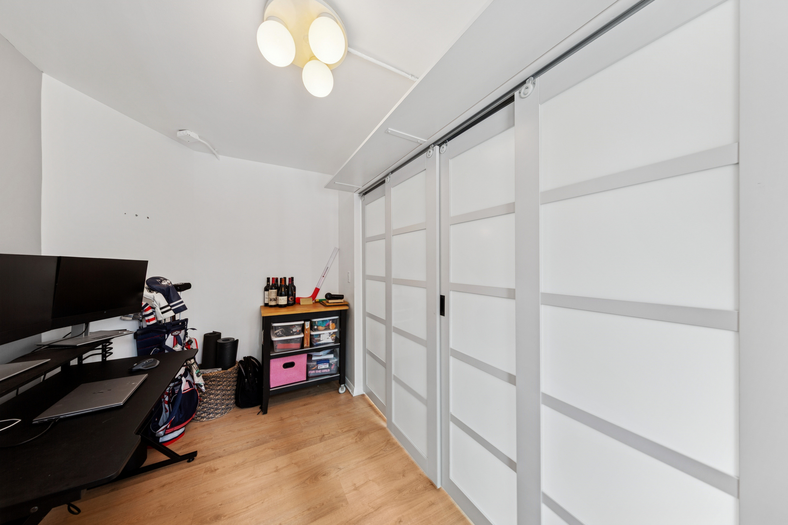 211 East Ohio Street, Unit 917 Chicago, IL 60611 - Photo 10 of 29