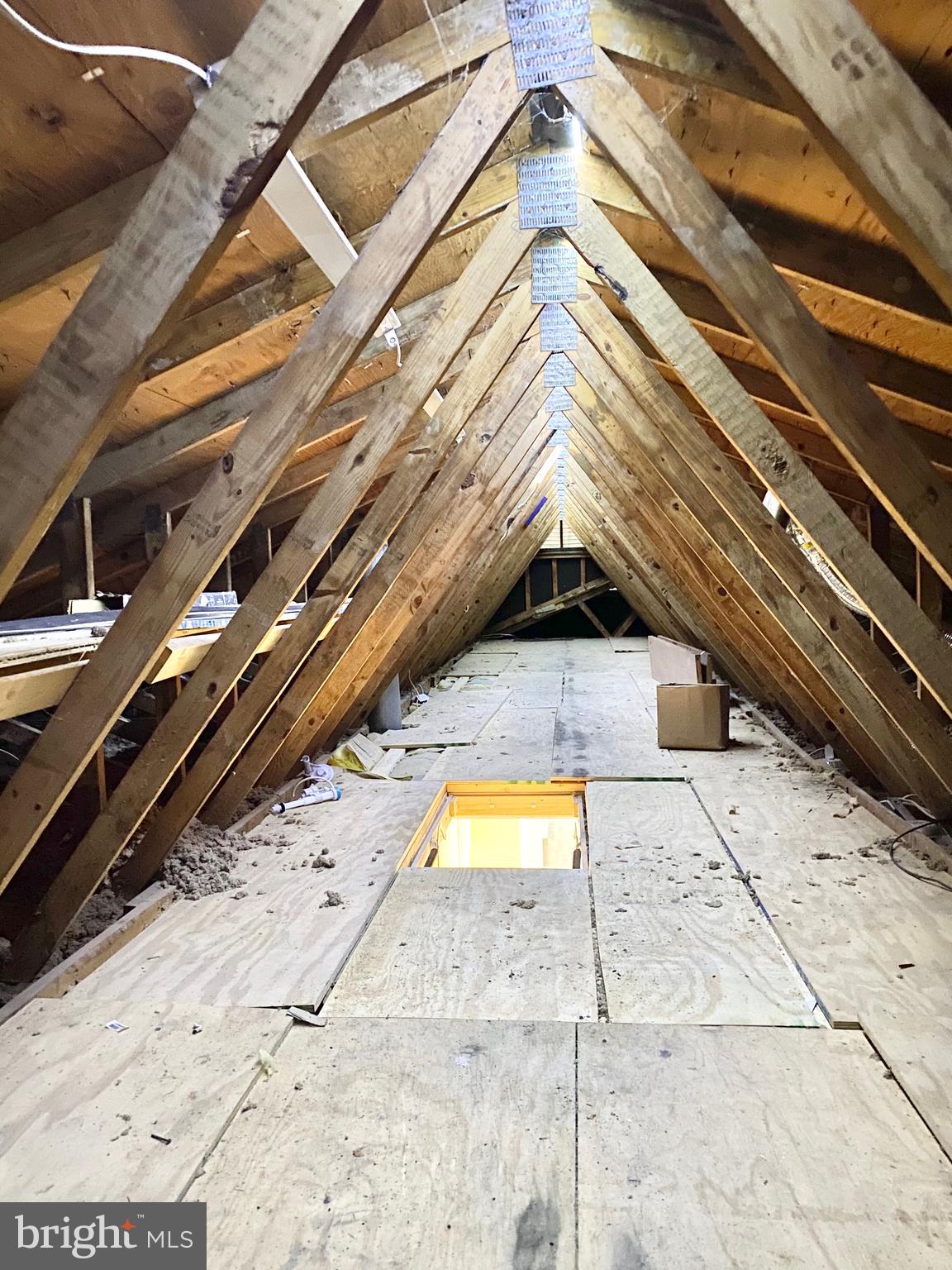 4585 25th Road North Arlington, VA 22207 - Photo 39 of 40 Spacious decked attic