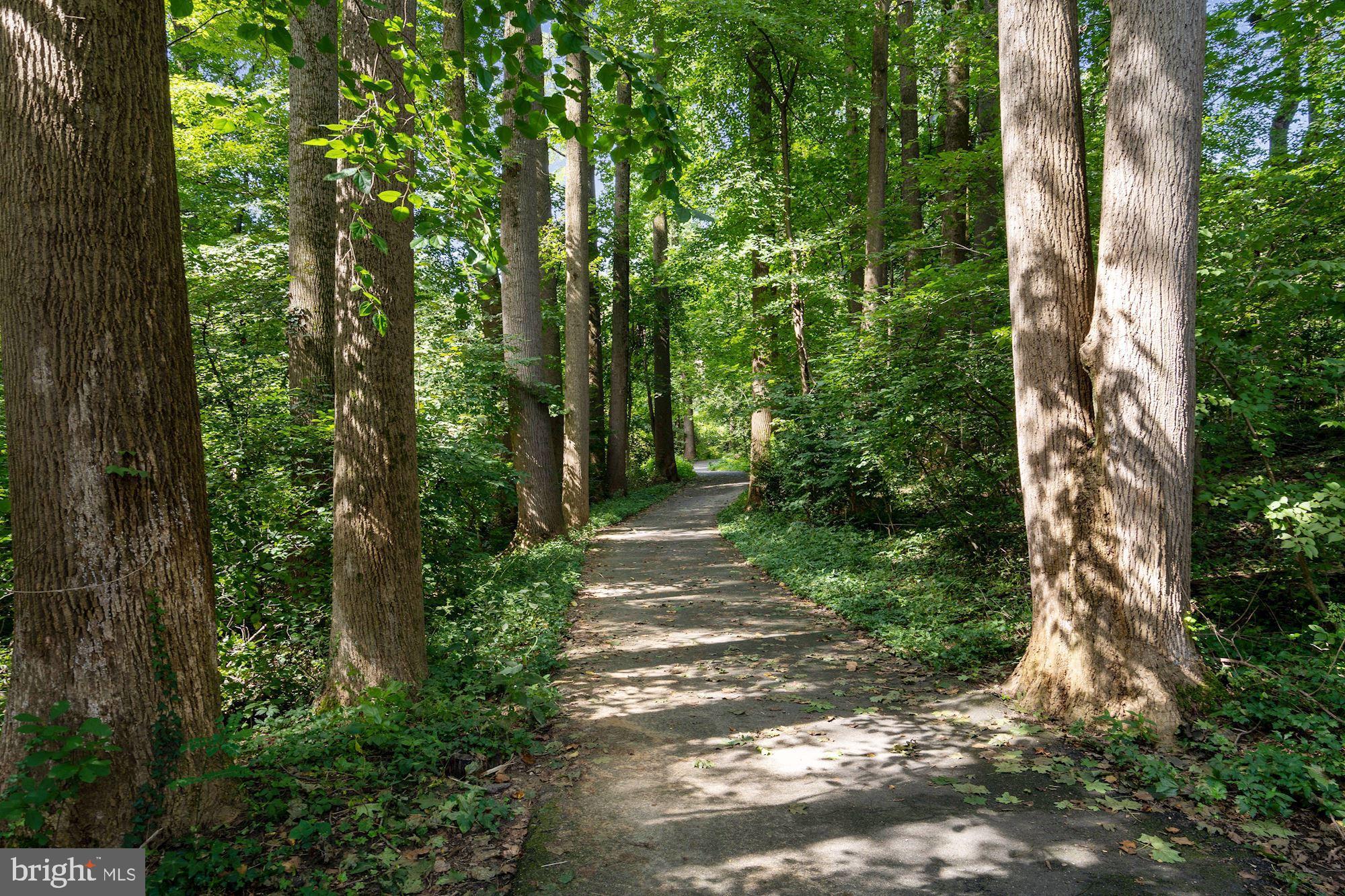 4585 25th Road North Arlington, VA 22207 - Photo 6 of 40