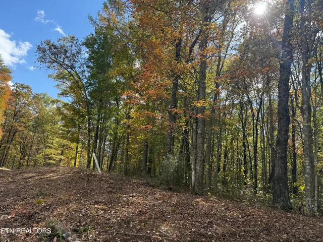 $141,000 | Picket Park Highway, Jamestown, TN 38556