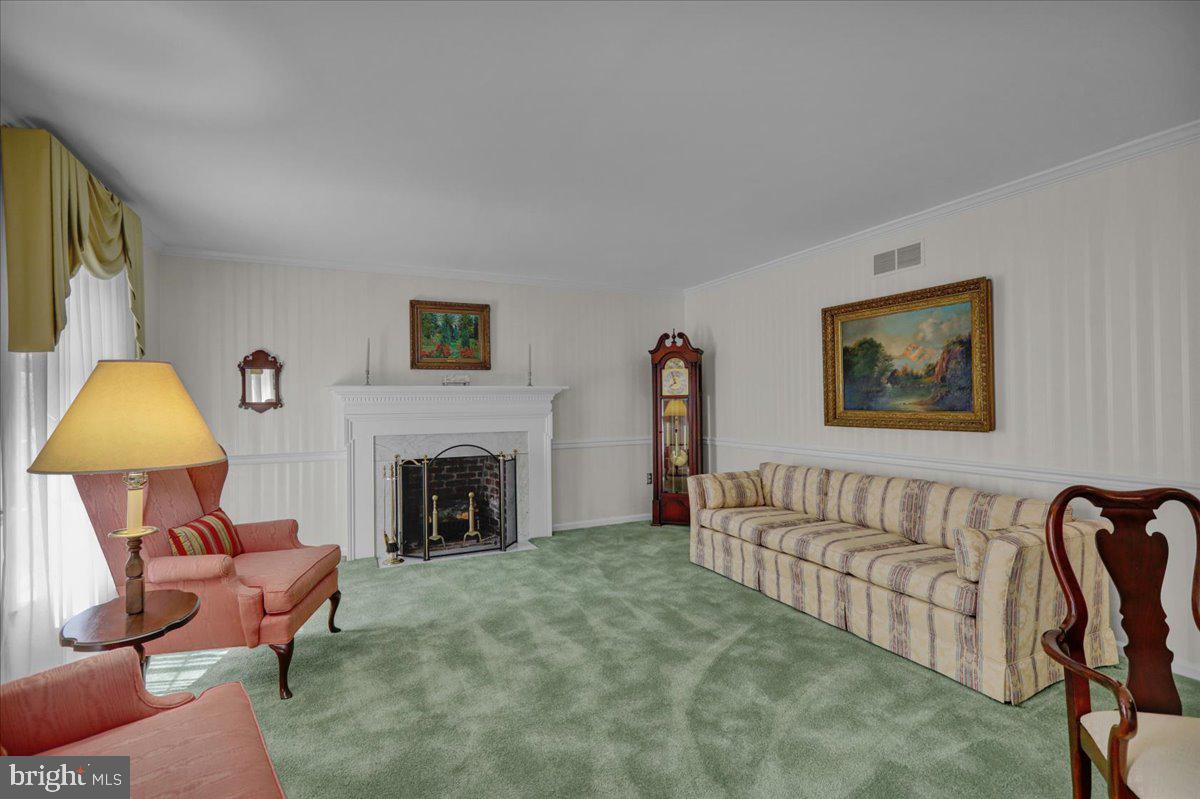 22 Lisa Road Sinking Spring, PA 19608 - Photo 29 of 60 a living room with furniture and a fireplace