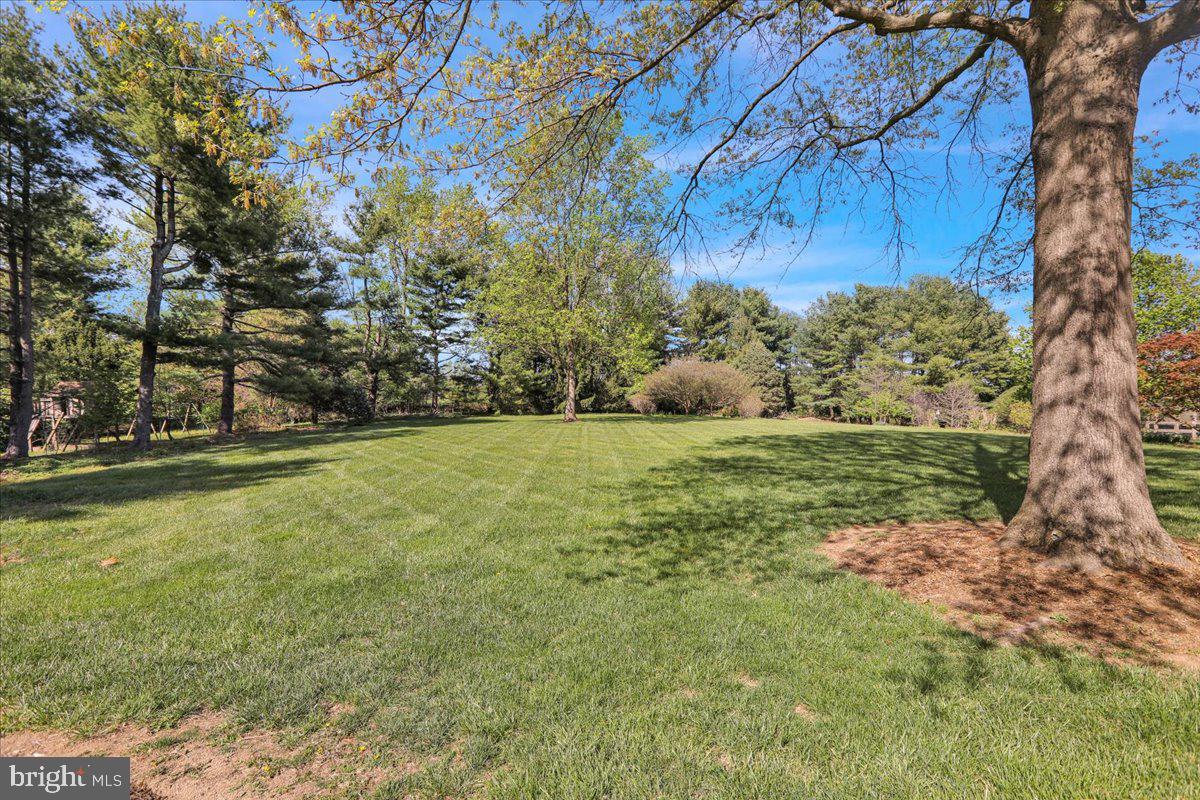22 Lisa Road Sinking Spring, PA 19608 - Photo 9 of 60 a view of a yard with a tree