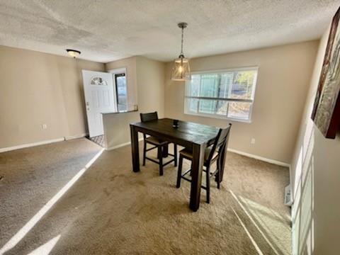 412 Colton Street Pittsburgh, PA 15209 - Photo 10 of 25