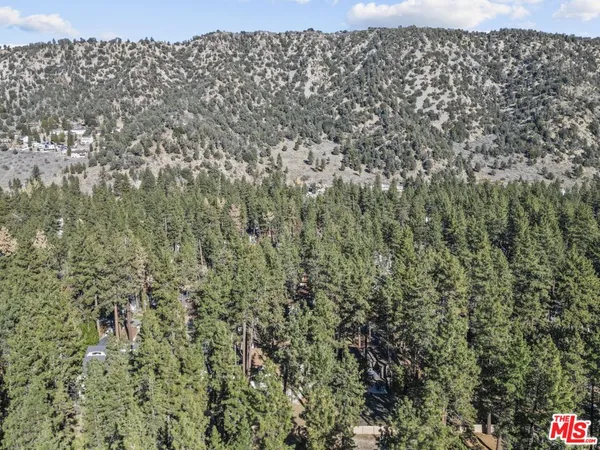 $2,800 | 1197 Oriole Road, Wrightwood, CA 92397