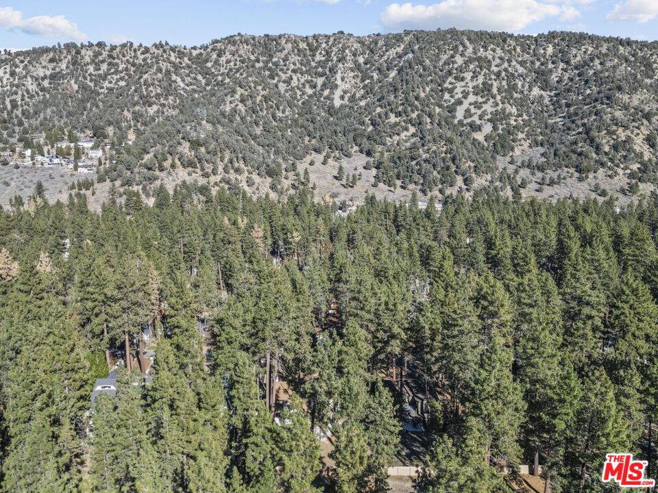 1197 Oriole Road Wrightwood, CA 92397 - Photo 42 of 50 a view of a yard