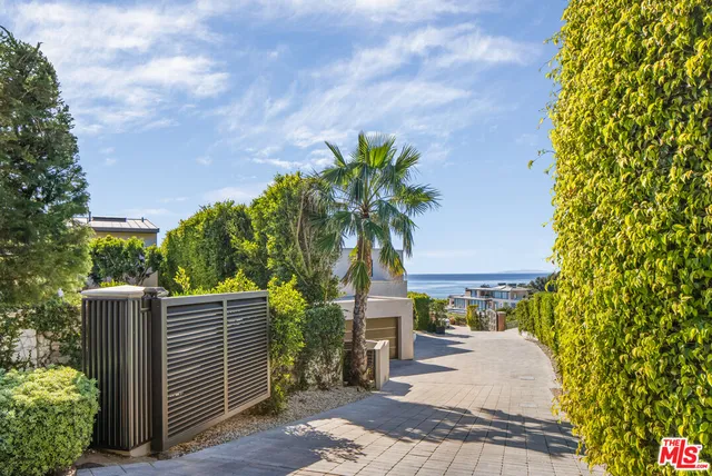 a palm tree sitting in front of a building