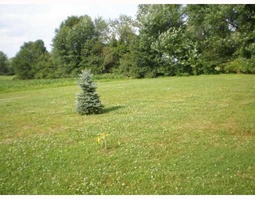 976 Cleland Mill Road New Castle, PA 16102 - Photo 13 of 14 View.