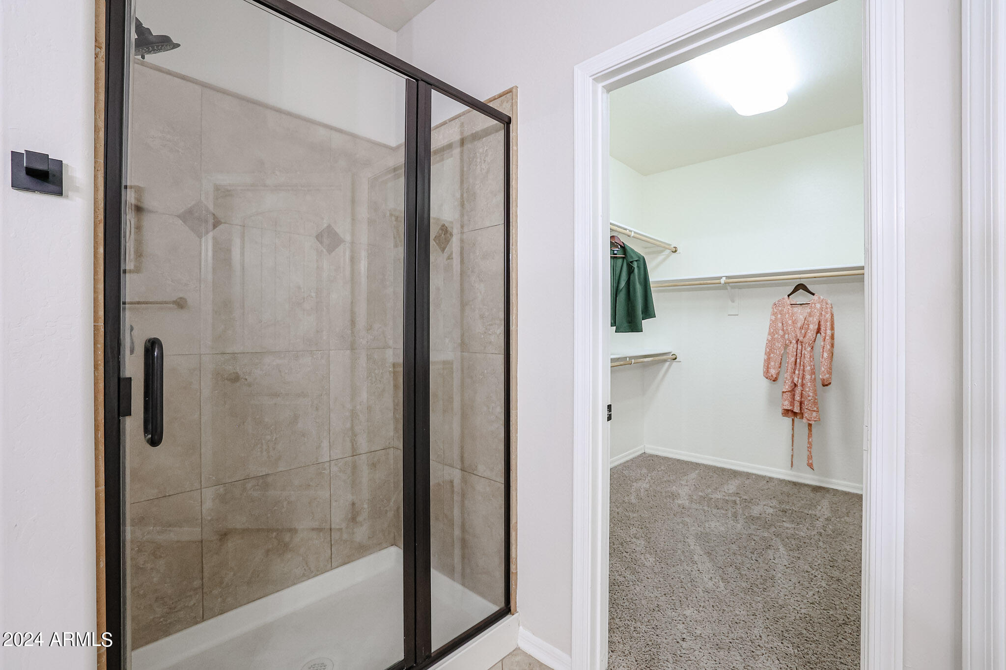 1135 North Signal Butte Road Mesa, AZ 85207 - Photo 38 of 67 Master Shower
