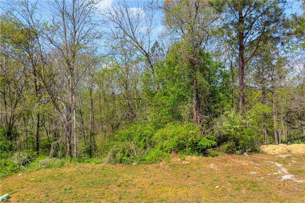 9147 Golfview Lane Covington, GA 30014 - Photo 14 of 19 a view of a yard with plants and large trees