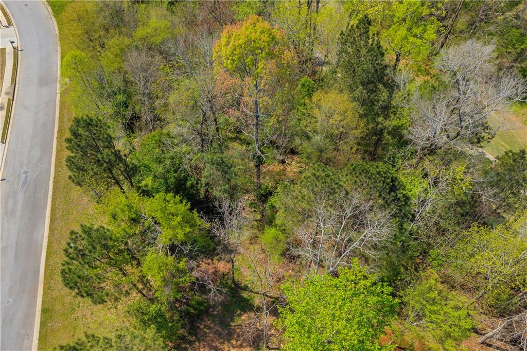 9147 Golfview Lane Covington, GA 30014 - Photo 16 of 19 a view of a garden