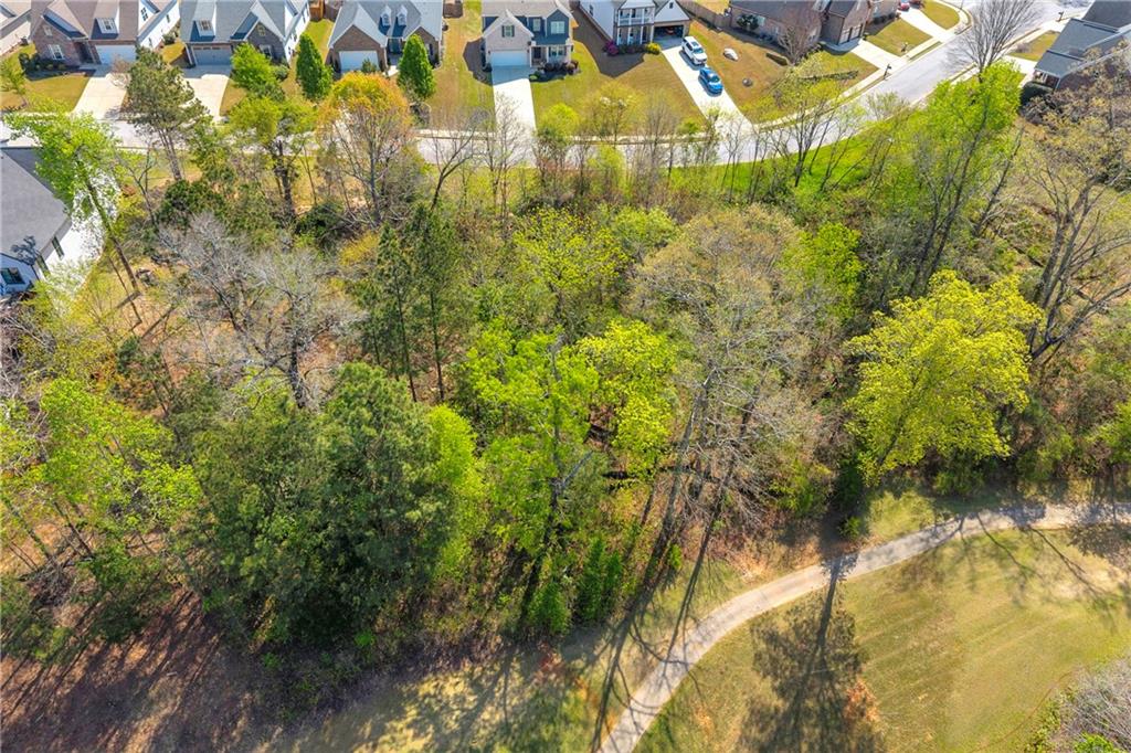 9147 Golfview Lane Covington, GA 30014 - Photo 17 of 19 a view of a yard with plants and large trees