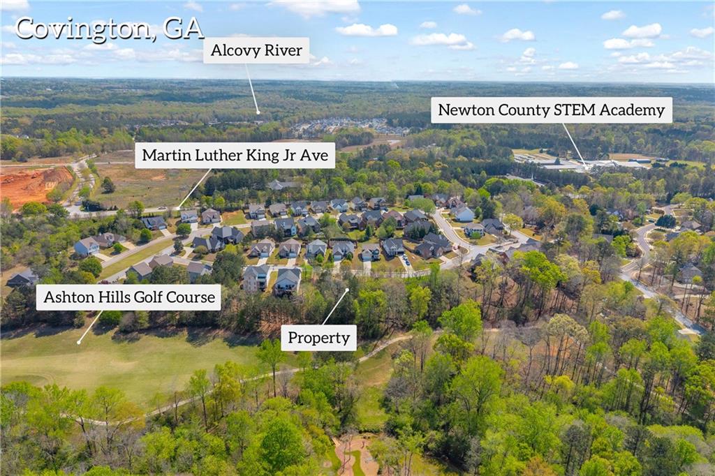 9147 Golfview Lane Covington, GA 30014 - Photo 8 of 19