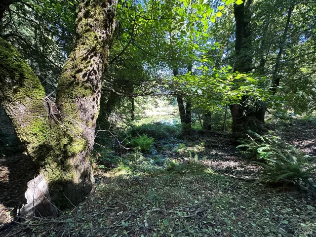 $195,000 | 51901 Stivers Road, Laytonville, CA 95454