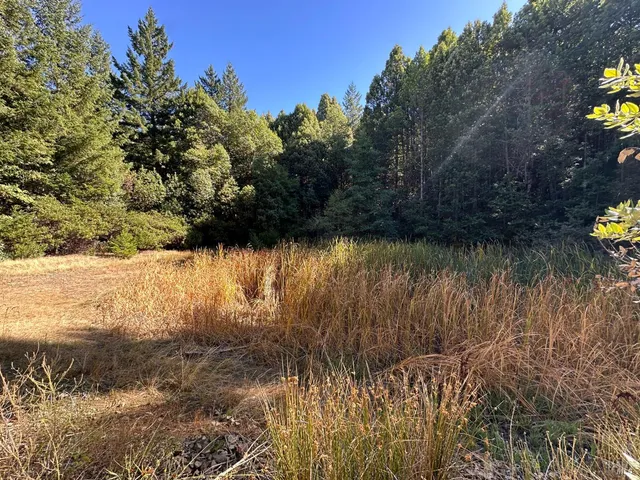 $195,000 | 51901 Stivers Road, Laytonville, CA 95454