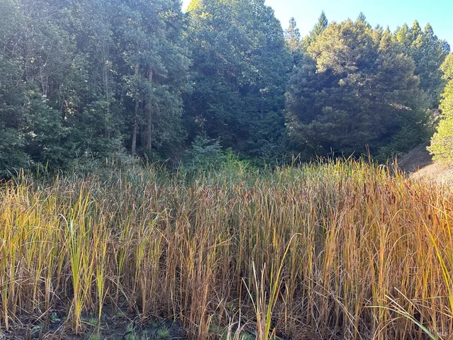 $195,000 | 51901 Stivers Road, Laytonville, CA 95454