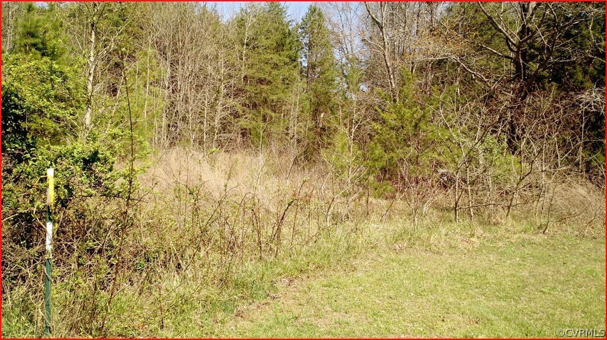 0 Judea Road Cumberland, VA 23040 - Photo 3 of 3 Gallery Image 3