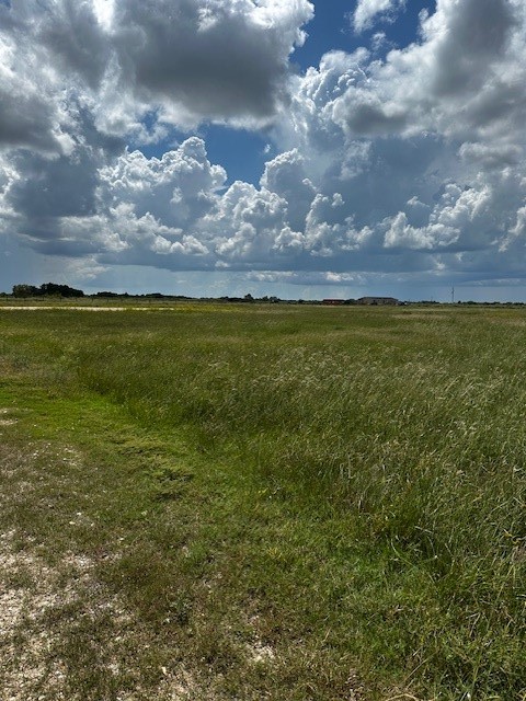 1994 FM 1994 Road Guy, TX 77444 - Photo 6 of 9