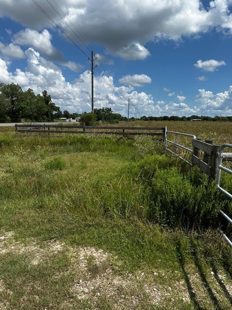 1994 FM 1994 Road Guy, TX 77444 - Photo 8 of 9