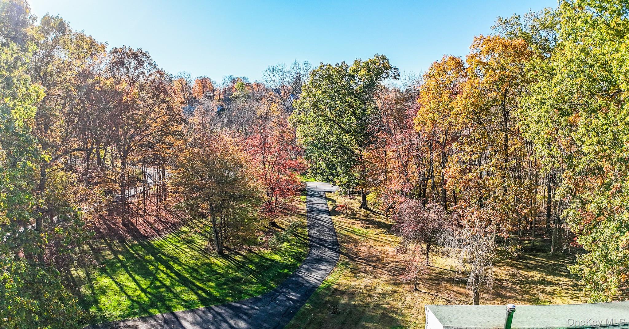 12 Chapel Road Newburgh, NY 12550 - Photo 44 of 46 a view of a tree in a yard