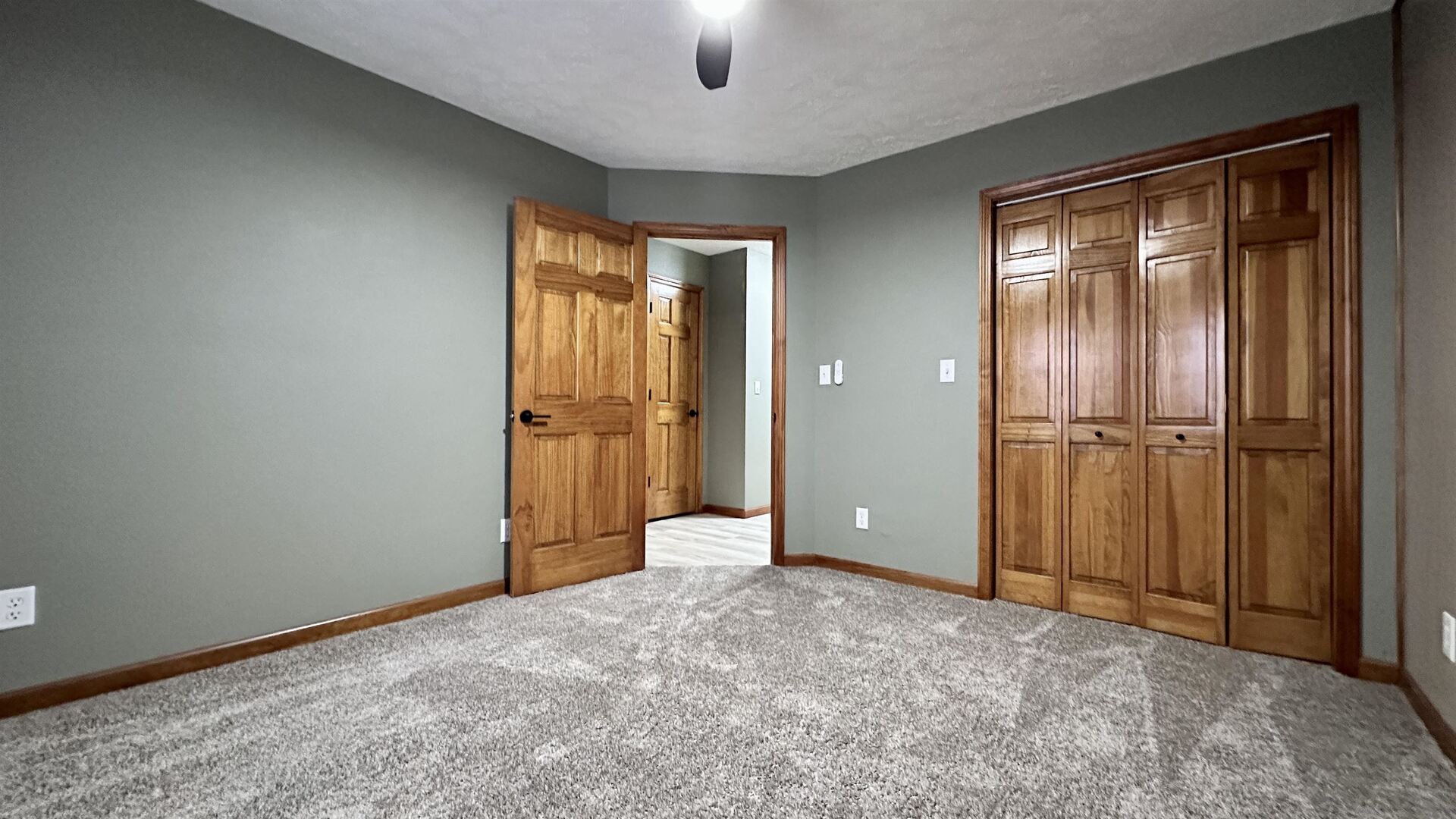 1111 East Elm Street West Frankfort, IL 62896 - Photo 16 of 27 an empty room with closet area and windows