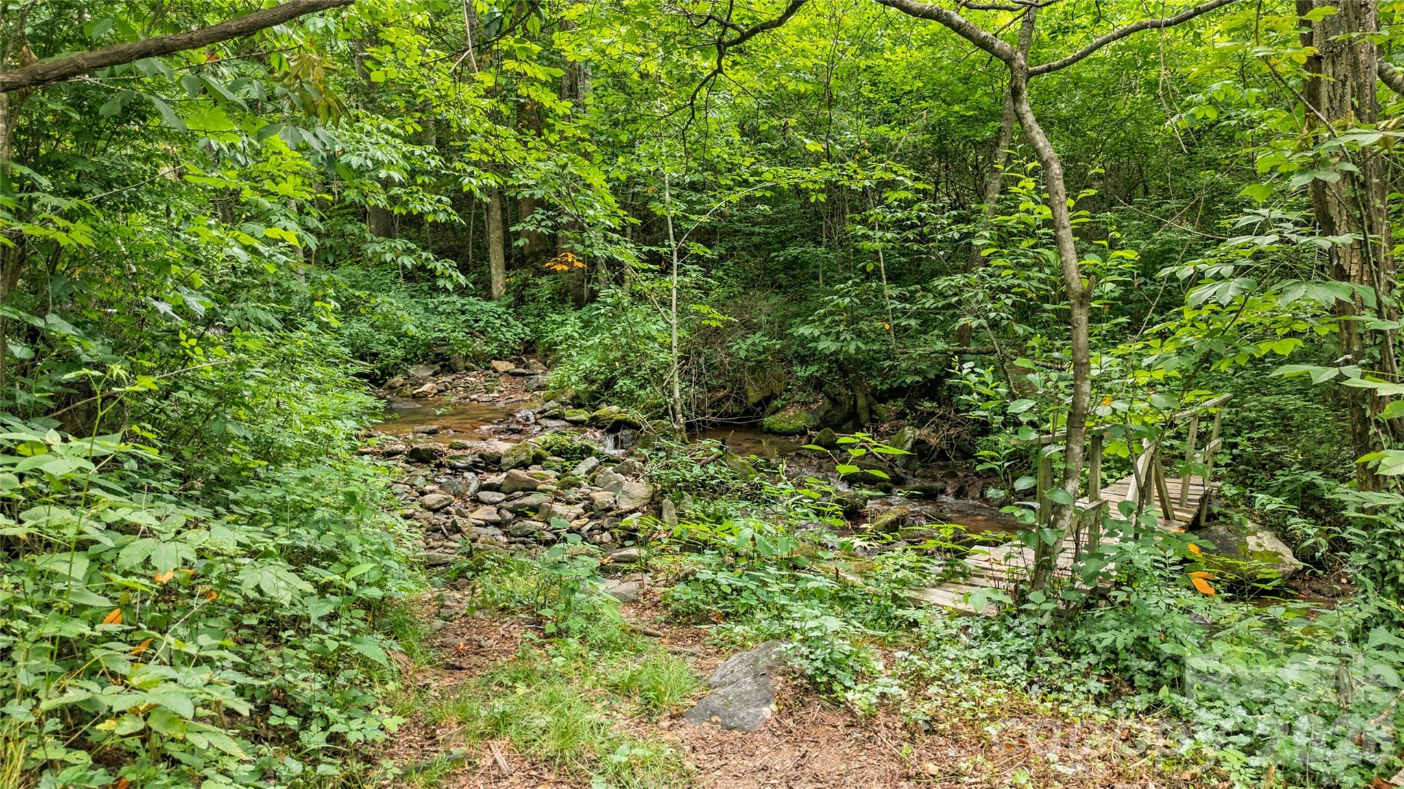 0 Fisher Creek Road Sylva, NC 28779 - Photo 7 of 18
