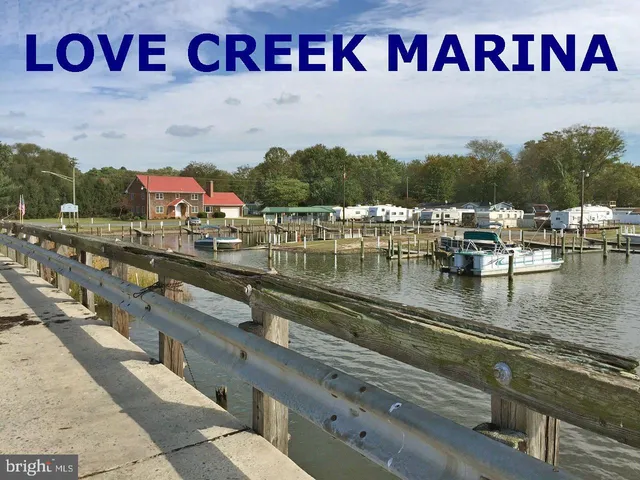 a view of a swimming pool with a yard