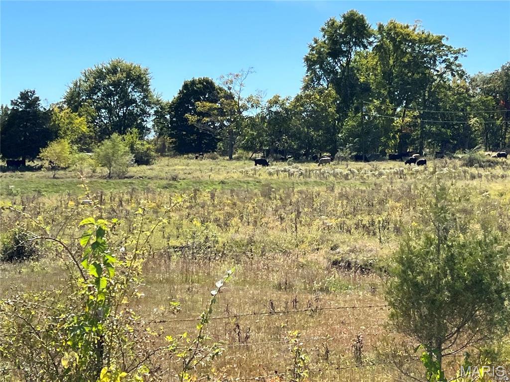 0 Hunt Road Farmington, MO 63640 - Photo 2 of 7