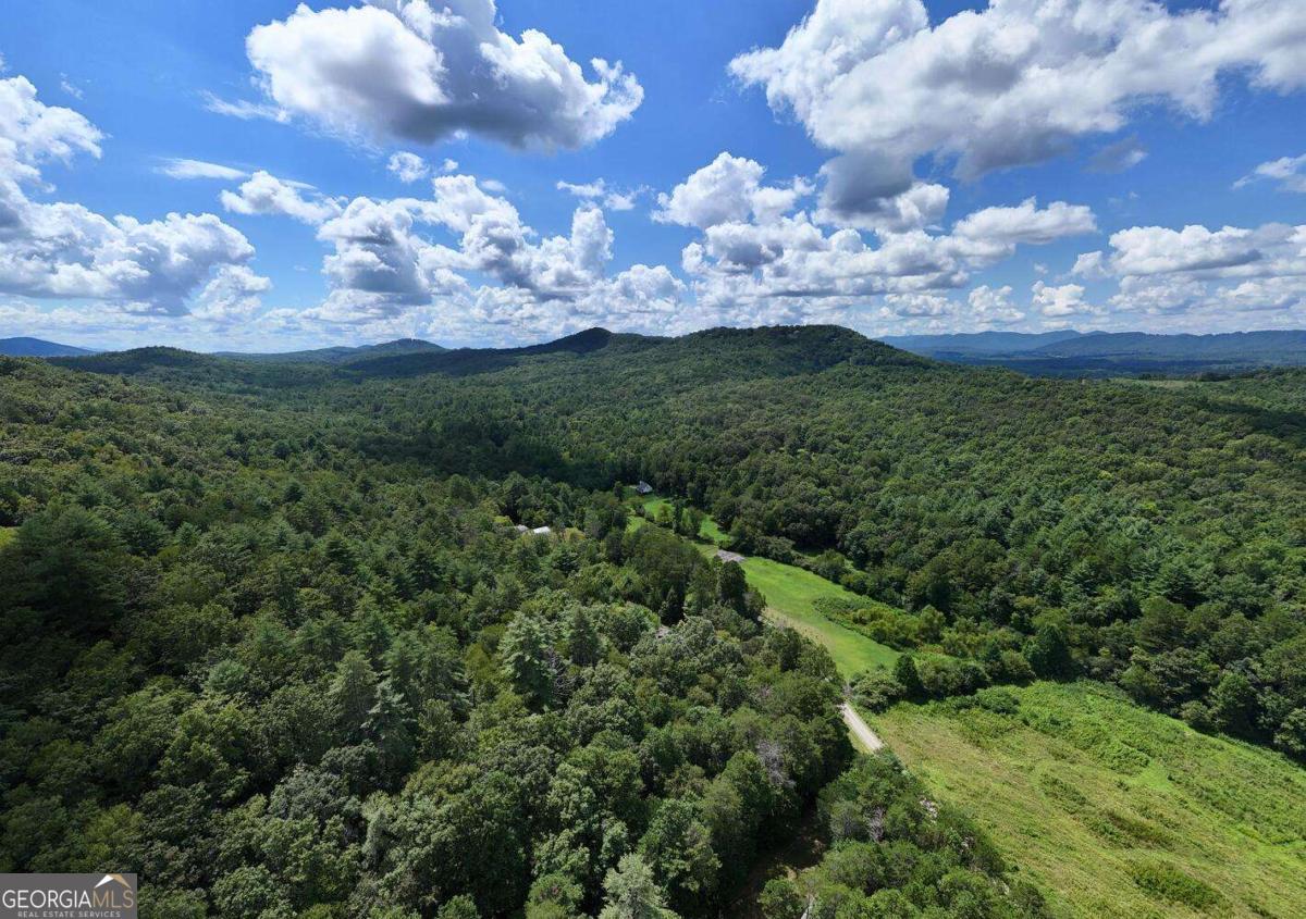 1048 Hawks Claw Road, Unit 4 Morganton, GA 30560 - Photo 54 of 58